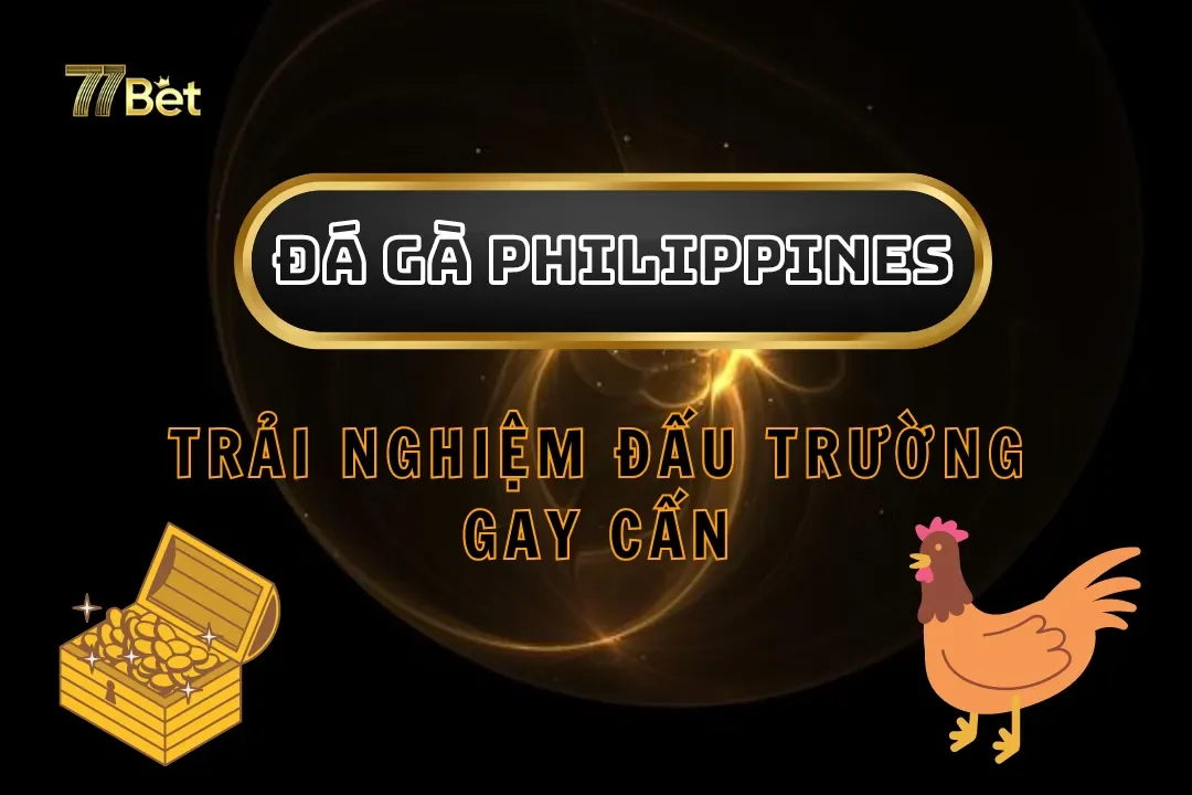 Đá Gà Philippines Tại 77bet – Trải Nghiệm Đấu Trường Gay Cấn