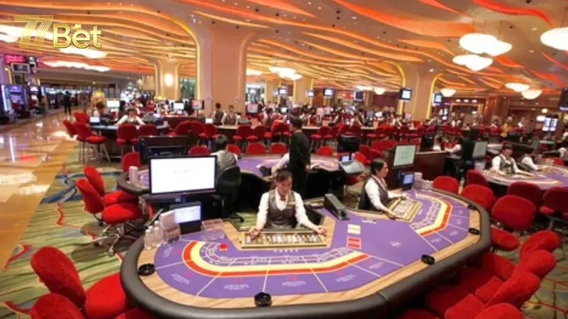 Những quy định hiện hành liên quan đến Việt Nam có casino không